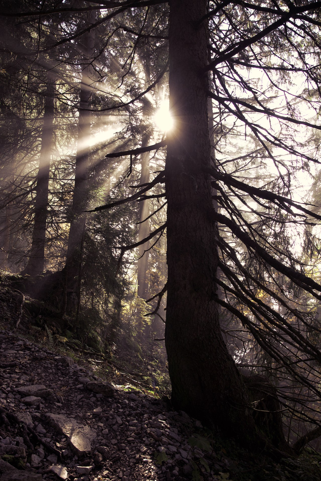 light over darkness